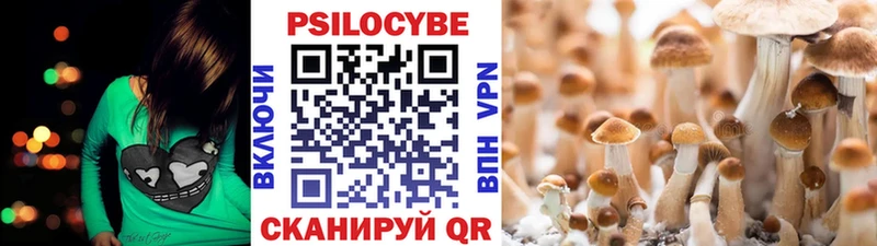 kraken ТОР  Брюховецкая  Галлюциногенные грибы Psilocybe 